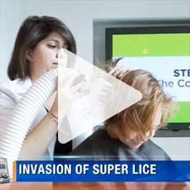 Invasion of Super Lice - Q13 Fox news - Lice Clinics of America